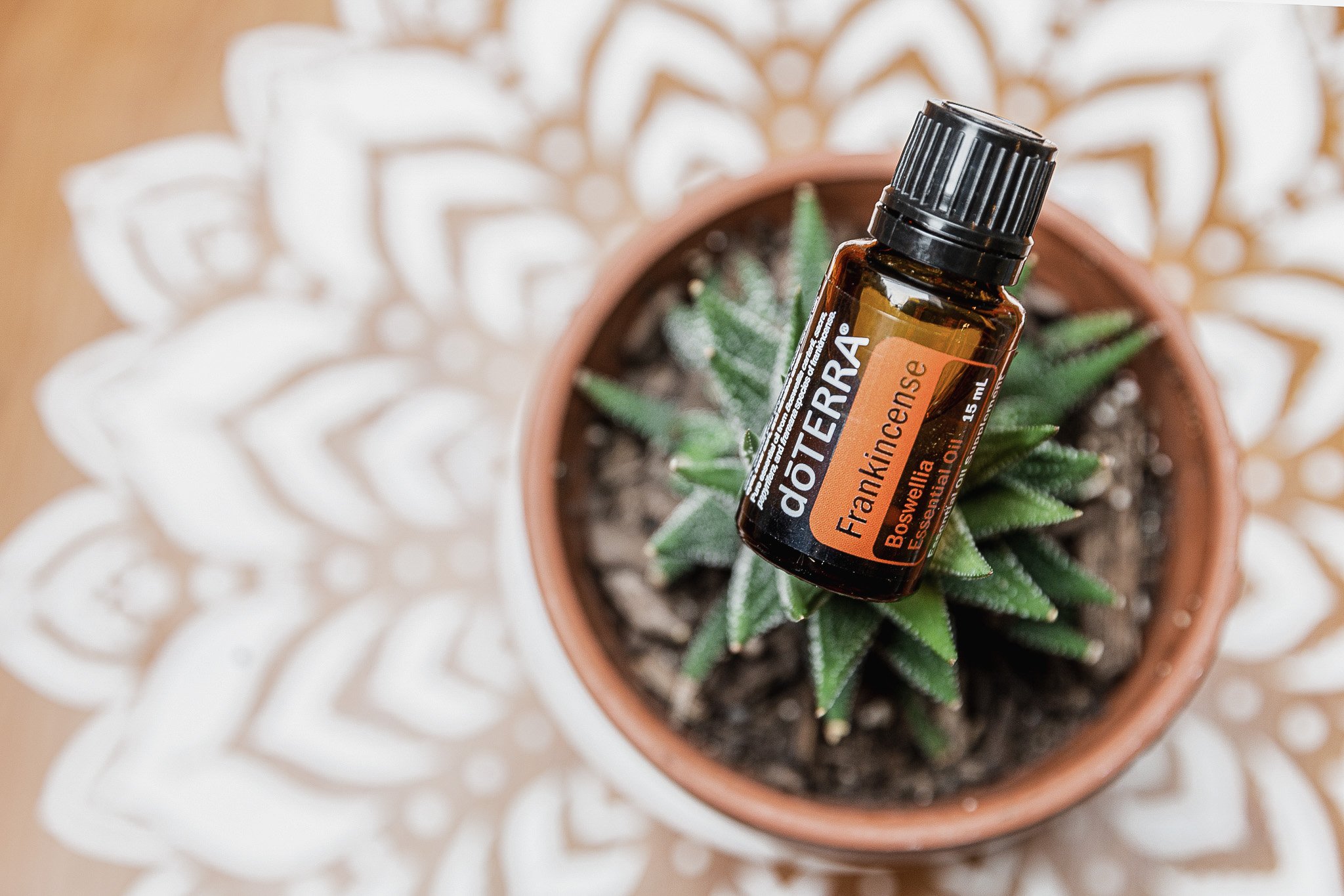 The Harmonious Blend of Massage and Aromatherapy: Nurturing Your Body and Mind